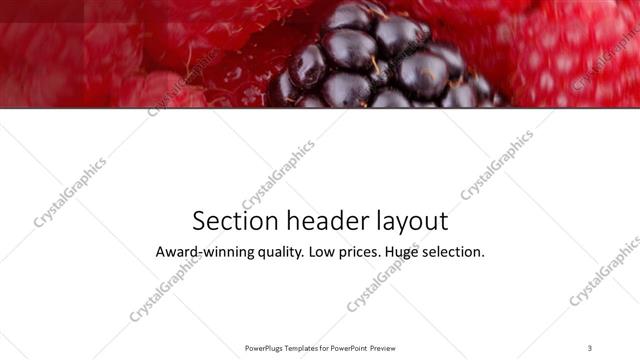Section Header presentation slide layout
