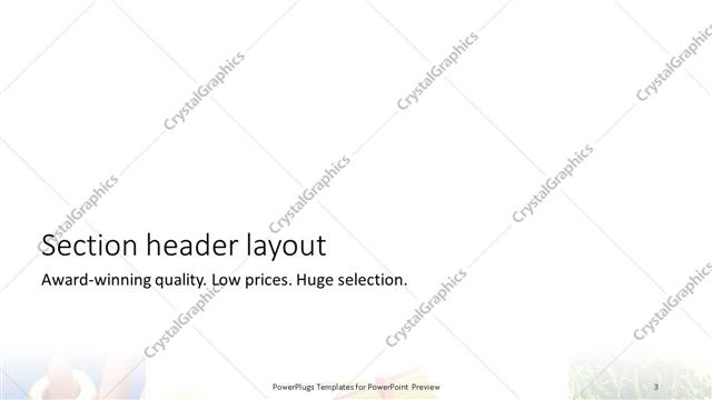Section Header presentation slide layout