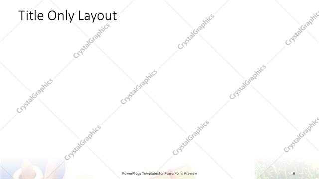 Title Only presentation slide layout