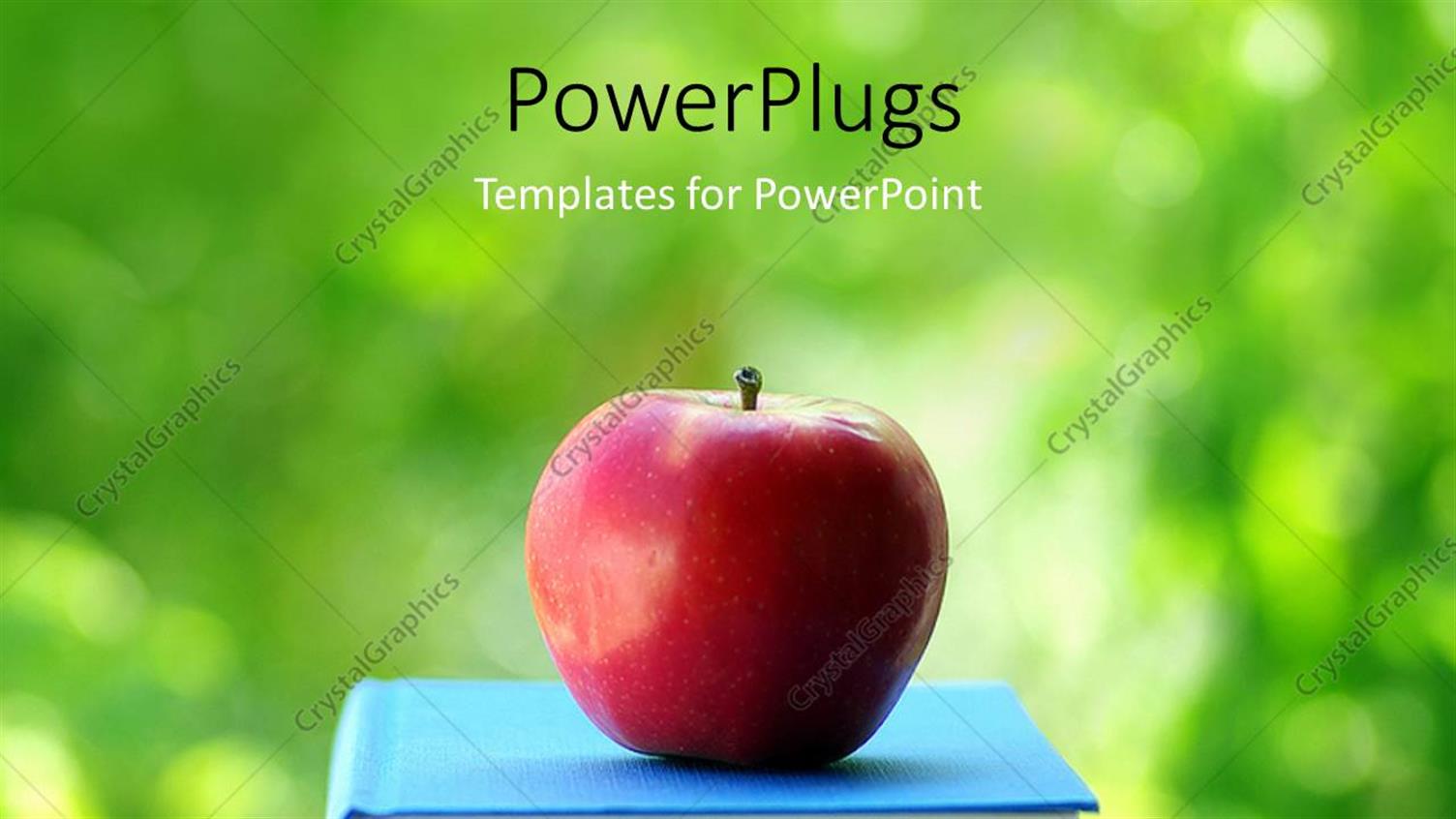 Premium Template for PowerPoint & Google Slides 