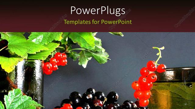  Presentation with red grey - Red and black currants with leaves on Grey background?