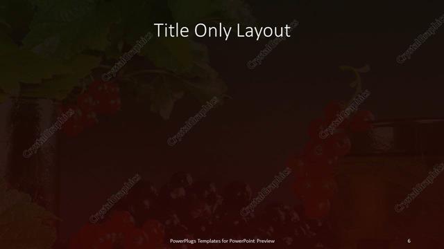 Title Only presentation slide layout