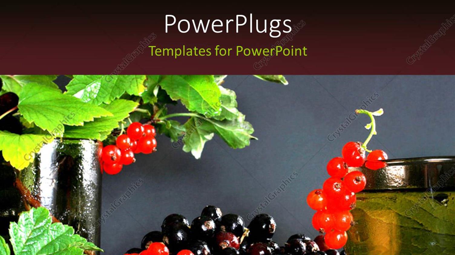 Premium Template for PowerPoint & Google Slides 