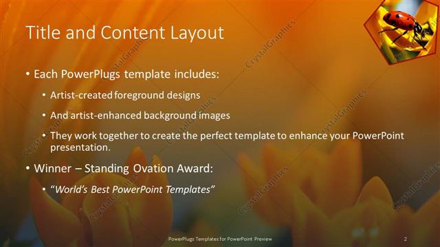 Title and Content presentation slide layout