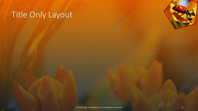 Title Only presentation slide layout