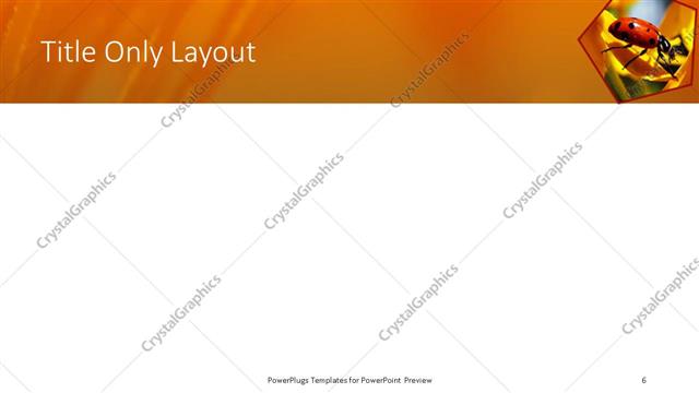 Title Only presentation slide layout