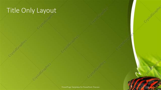 Title Only presentation slide layout