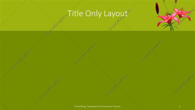 Title Only presentation slide layout