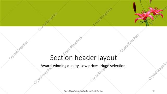 Section Header presentation slide layout
