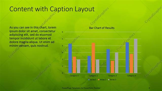 Content with Caption presentation slide layout