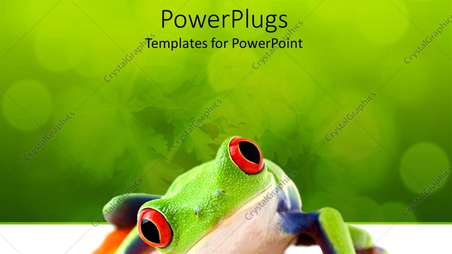 Premium Template for PowerPoint & Google Slides 