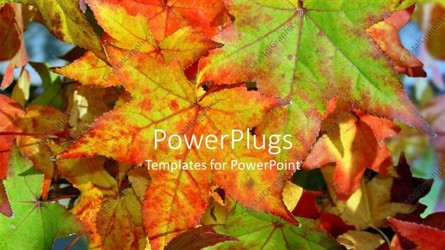  Presentation with orange - Red, orange, and green autumn leaves
