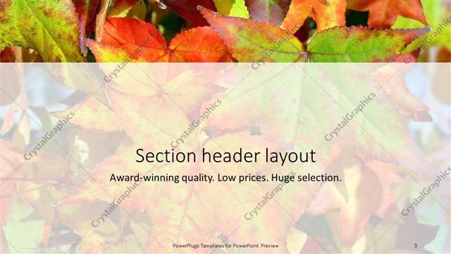 Section Header presentation slide layout