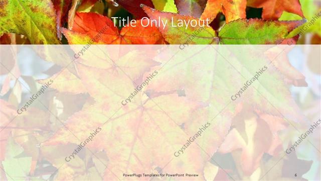 Title Only presentation slide layout