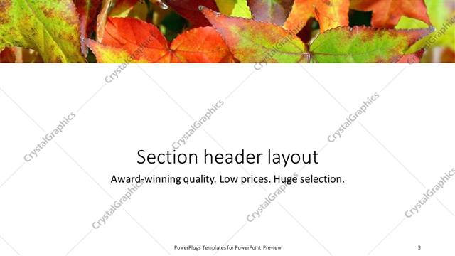 Section Header presentation slide layout