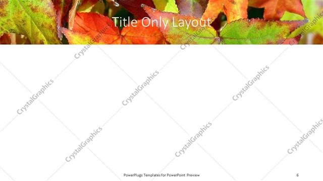 Title Only presentation slide layout