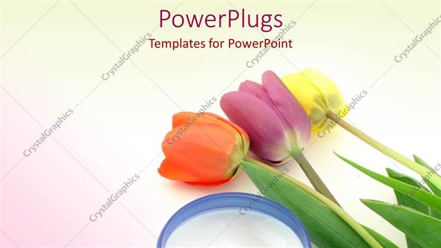  Presentation with tulips - Red, purple, and yellow tulips next to jar of moisturizing cream