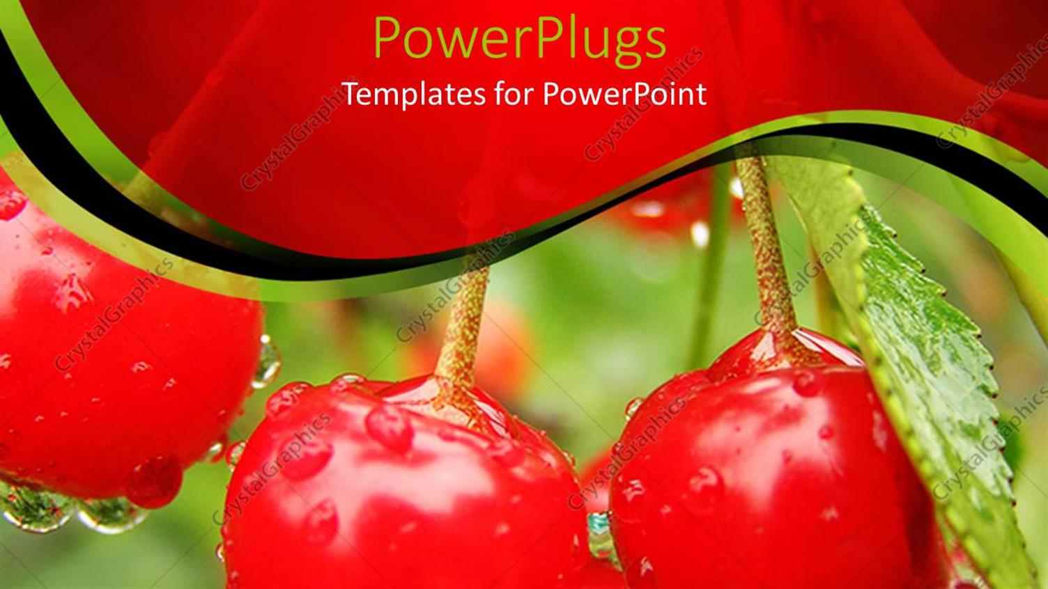 Premium Template for PowerPoint & Google Slides 