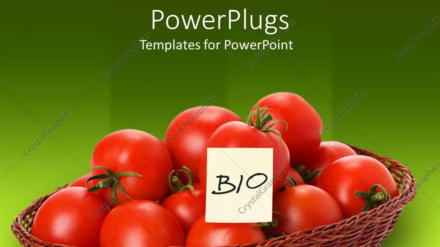 Premium Template for PowerPoint & Google Slides 