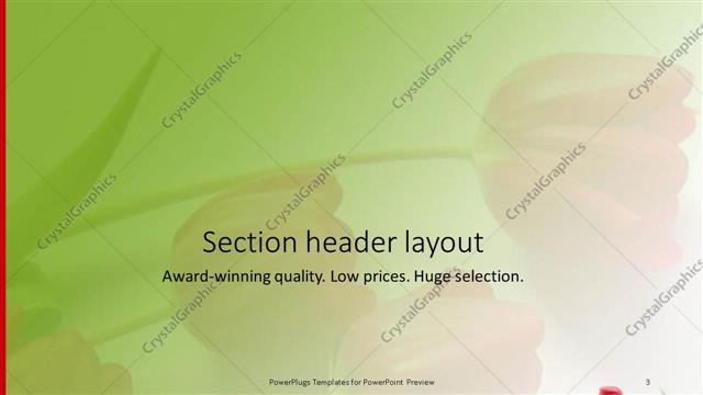 Section Header presentation slide layout