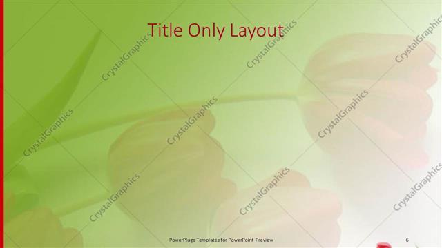 Title Only presentation slide layout
