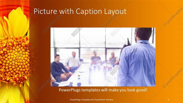 Picture with Caption presentation slide layout