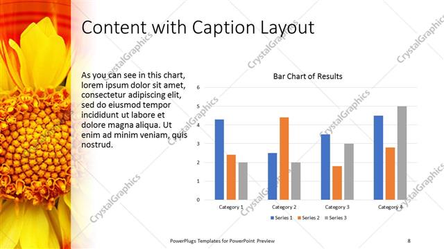 Content with Caption presentation slide layout