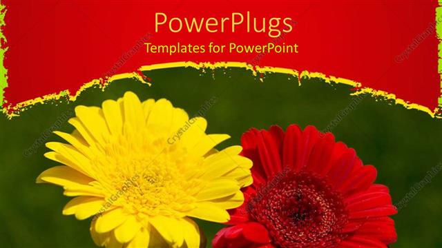  Presentation with yellow green - A red and yellow flower with green background
