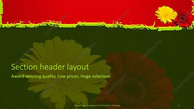 Section Header presentation slide layout