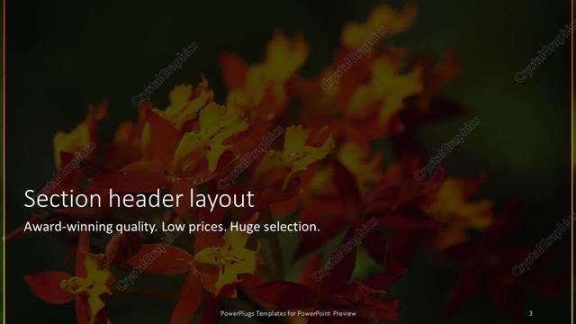 Section Header presentation slide layout