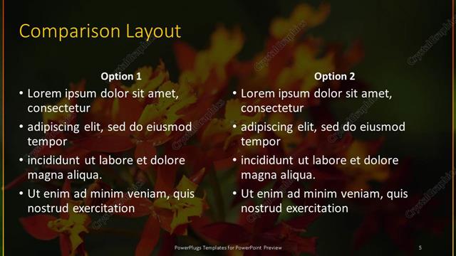 Comparison presentation slide layout