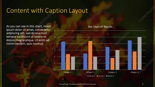 Content with Caption presentation slide layout