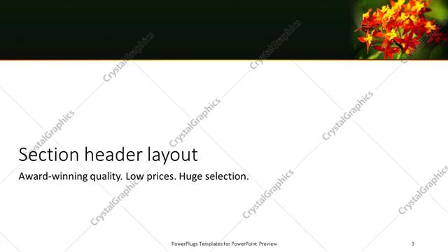 Section Header presentation slide layout