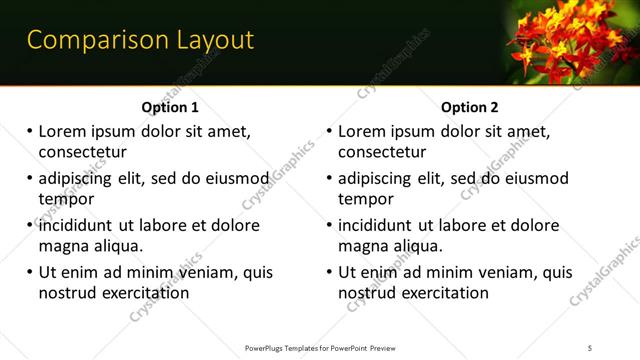 Comparison presentation slide layout