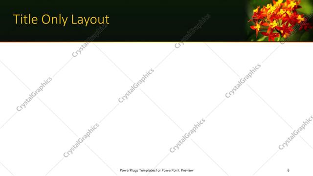 Title Only presentation slide layout