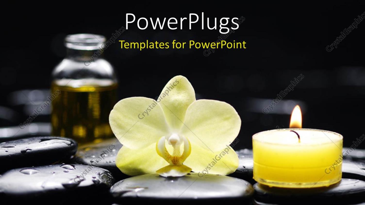 Premium Template for PowerPoint & Google Slides 