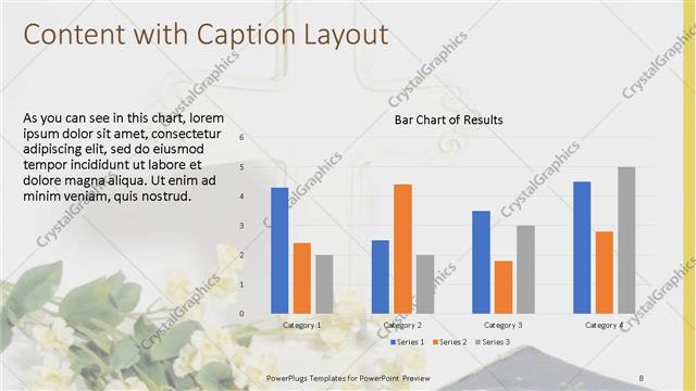 Content with Caption presentation slide layout