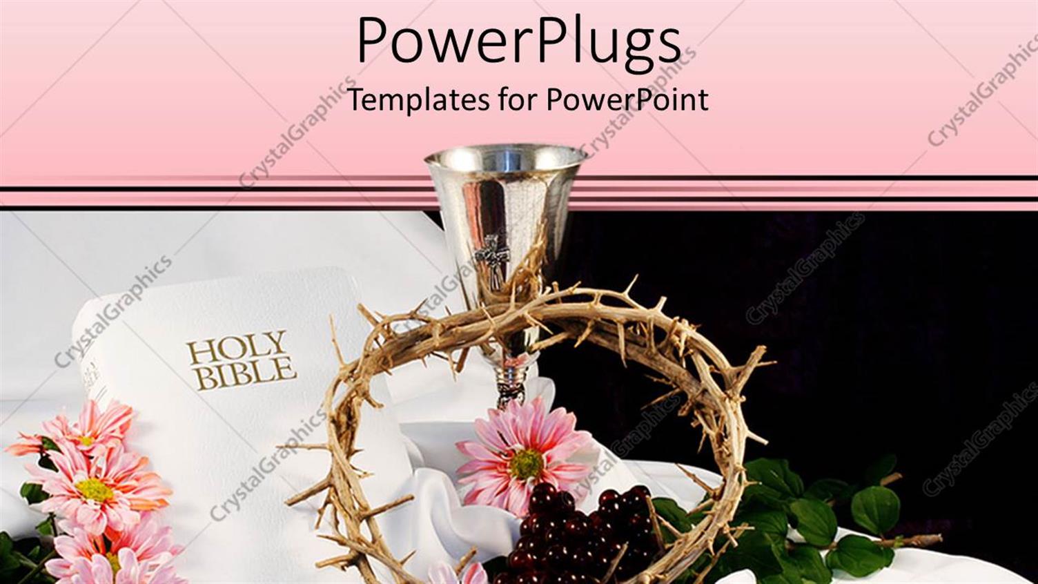 Premium Template for PowerPoint & Google Slides 