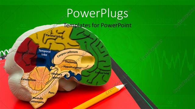  Presentation with brain - A representation of brain with greenish background