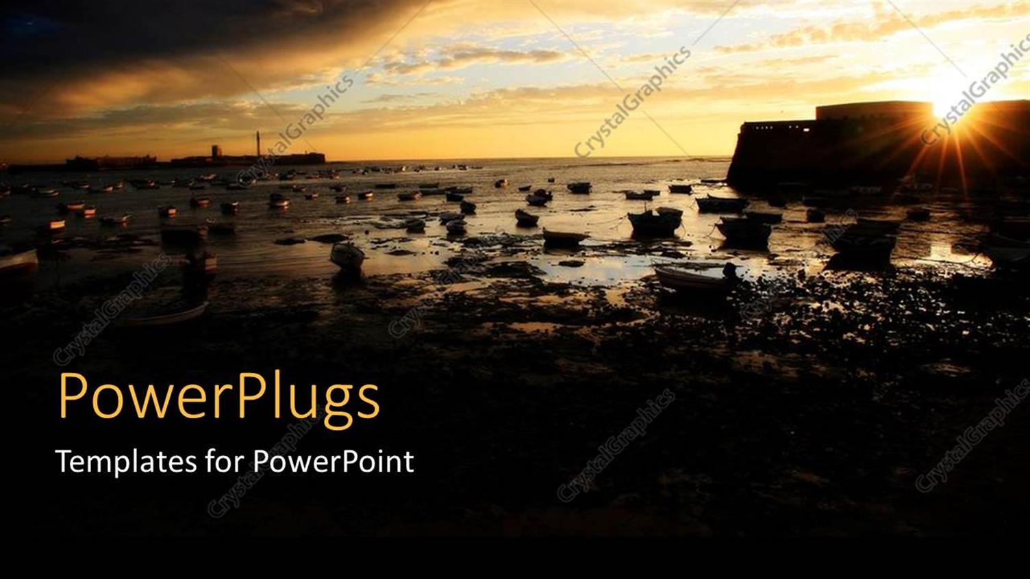 Premium Template for PowerPoint & Google Slides 