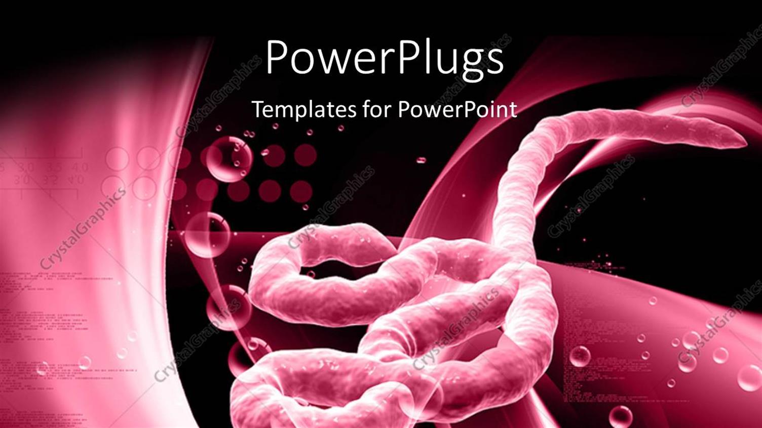 Premium Template for PowerPoint & Google Slides 