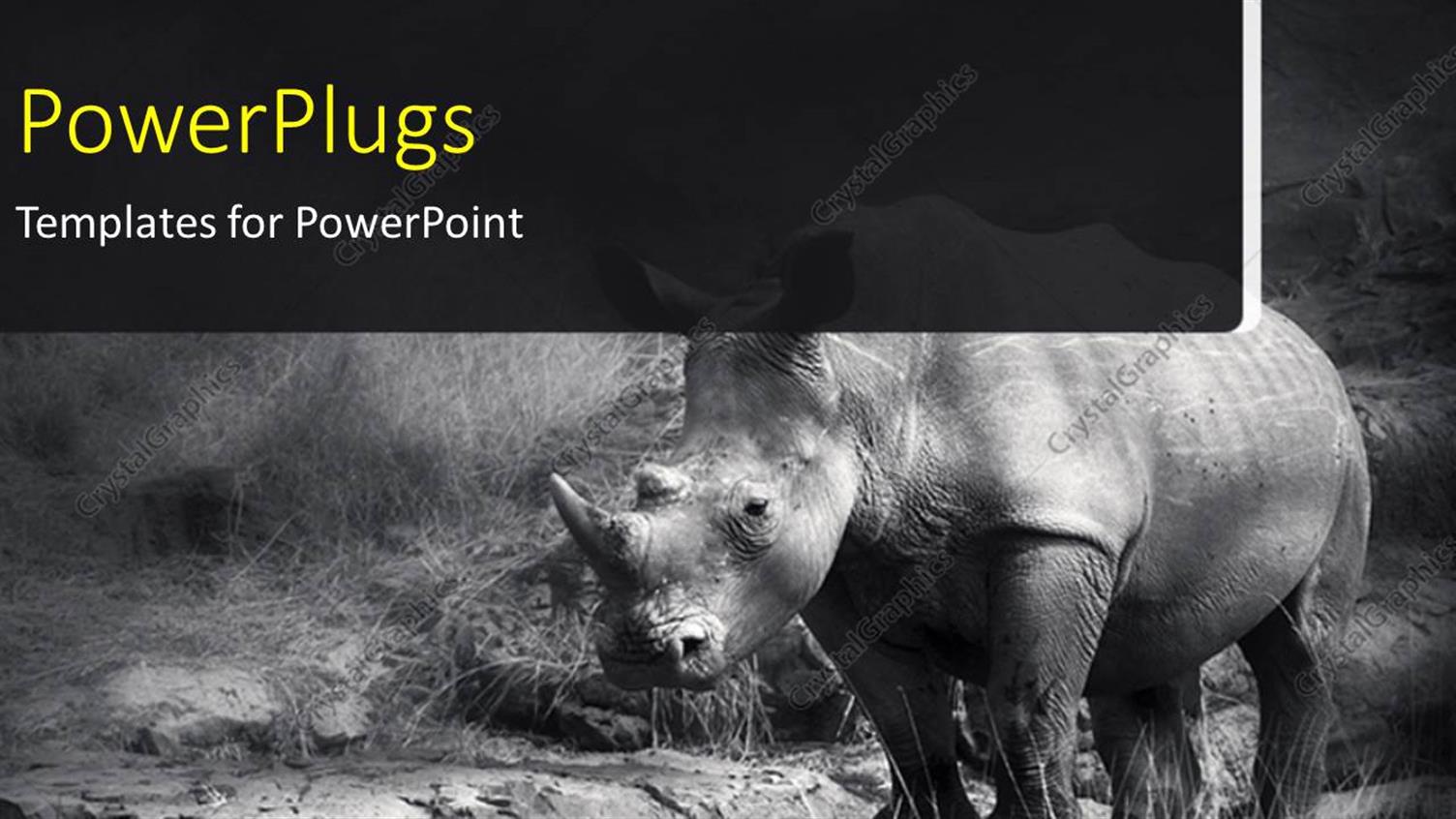 Premium Template for PowerPoint & Google Slides 