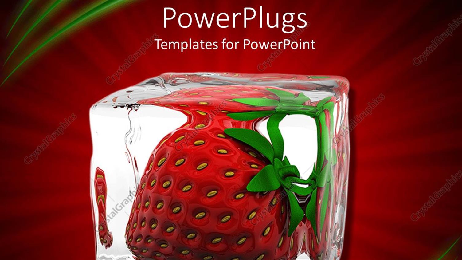 Premium Template for PowerPoint & Google Slides 