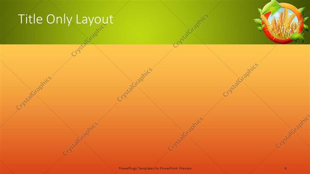 Title Only presentation slide layout