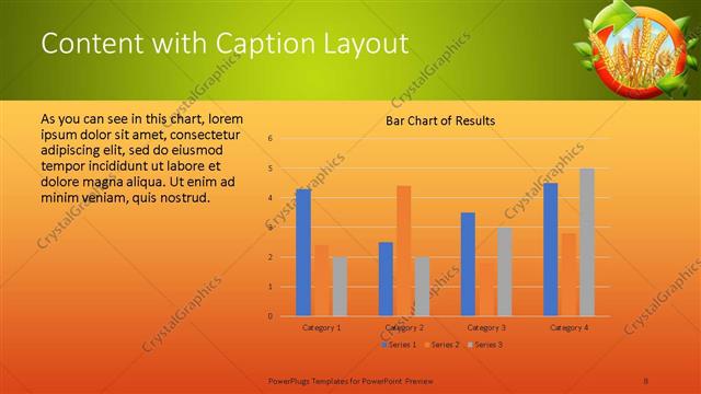 Content with Caption presentation slide layout