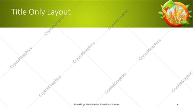 Title Only presentation slide layout