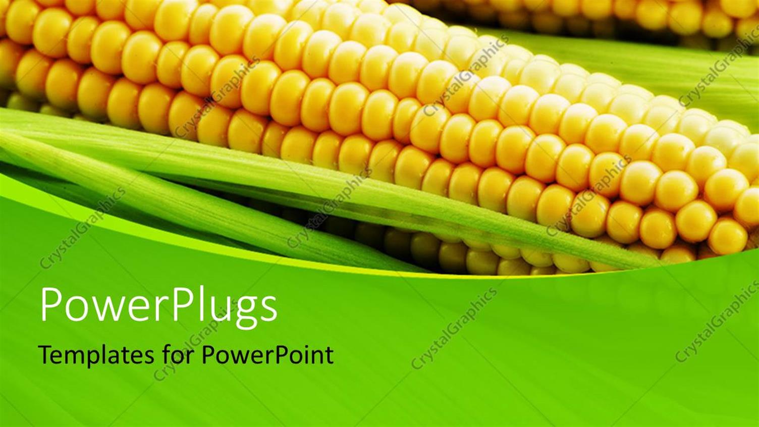 Premium Template for PowerPoint & Google Slides 