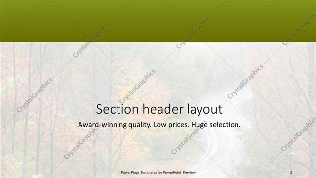 Section Header presentation slide layout