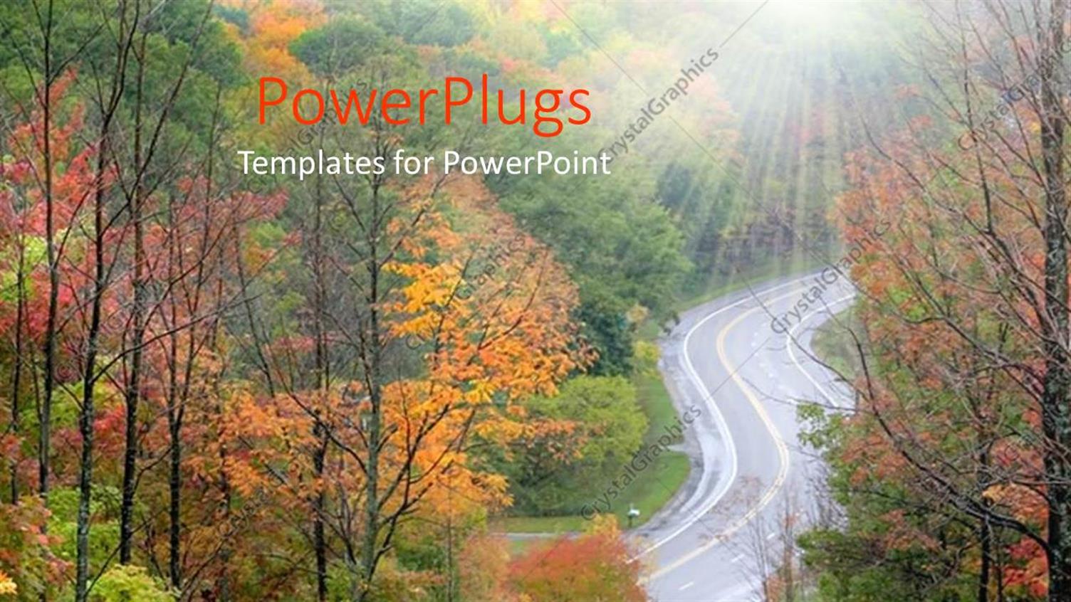 Premium Template for PowerPoint & Google Slides 