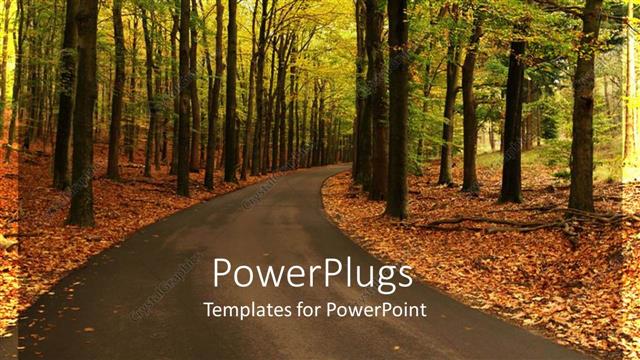  Presentation with road - Road curving through forest with fall autumn foliage